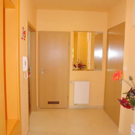 Roselio Sky Apartament Héviz